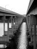 johshawil > OLYMPUS DIGITAL CAMERA